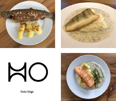 Rezepte für Fischgerichte