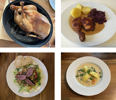 Rezepte für Geflügelgerichte